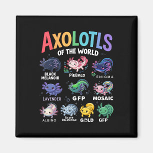 Imán Araquísimos Del Mundo Kawaii Axolotl Arte Cuto