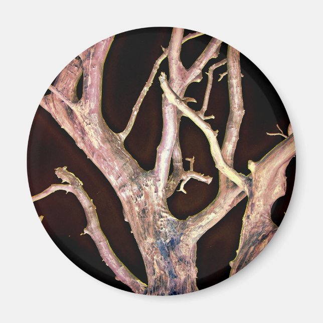 IMÁN ÁRBOL (Frente)