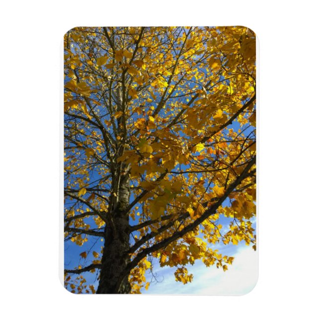 Imán Árbol amarillo otoñal (Vertical)