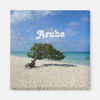 Árbol Aruba Divi