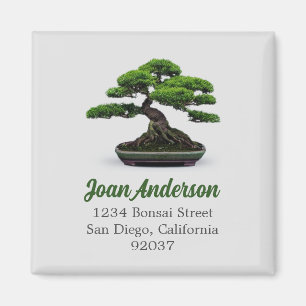 Imán Árbol Bonsai