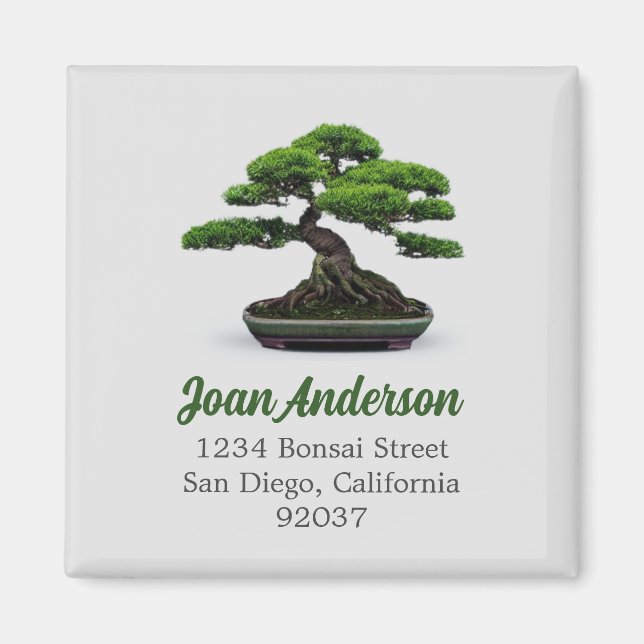 Imán Árbol Bonsai (Frente)