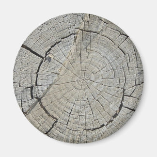 Imán Árbol con trompa