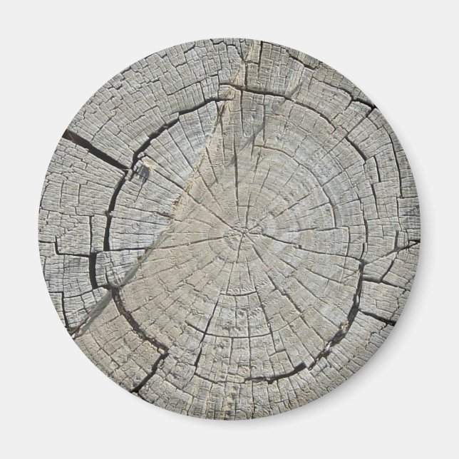 Imán Árbol con trompa (Frente)