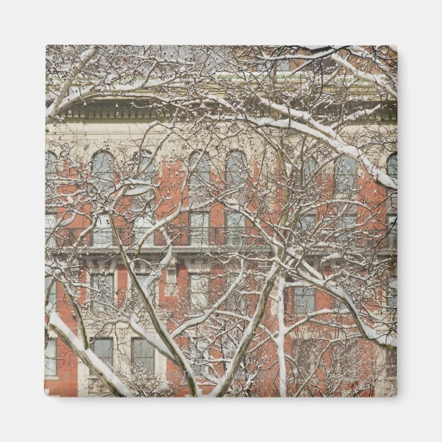 Imán Árbol cubierto de nieve (Frente)