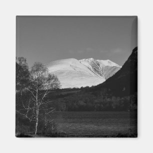 Imán Árbol de abedul y magneto de Blencathra