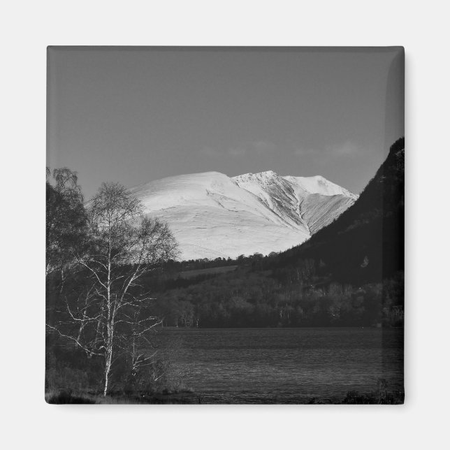 Imán Árbol de abedul y magneto de Blencathra (Frente)