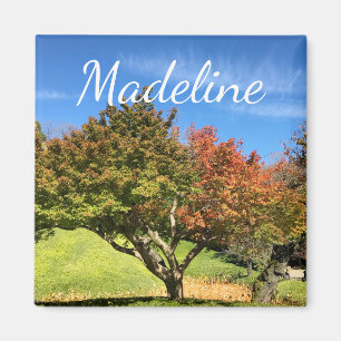 Imán Árbol de arce de colores en otoño