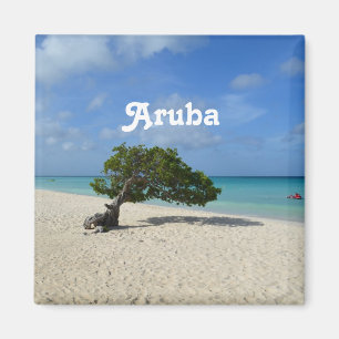 Imán Árbol de Aruba Divi Divi