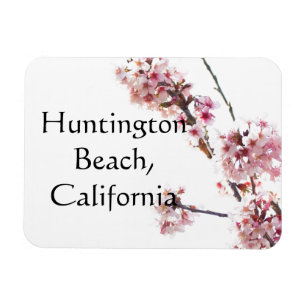 Imán Árbol de cerezo en flor Huntington Beach, Californ