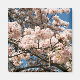 Imán Árbol de cerezo en flor, Oregón