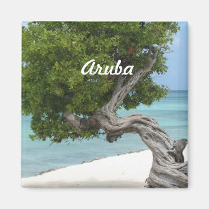 Imán Árbol de Divi Divi en Aruba