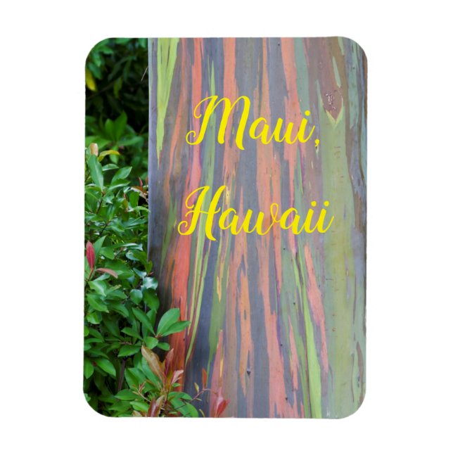 Imán Árbol de eucalipto arcoíris Maui, Hawái (Vertical)