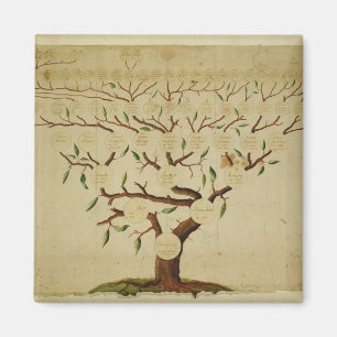 Imán Árbol de familia Bach, c.1750-1770