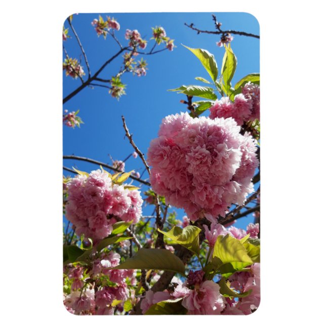 Imán Árbol de flores rosadas de cerezo silvestre (Vertical)