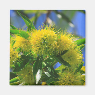 Imán Árbol de guijarros amarillo