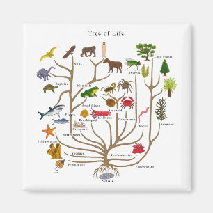 Imán Árbol de la vida