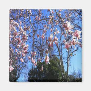 Imán Árbol de Magnolia......