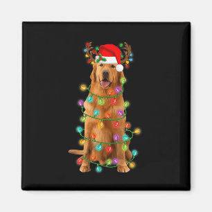 Imán Árbol de Navidad Golden Retriever enciende perro d