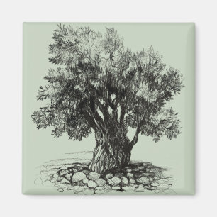 Imán Árbol de oliva