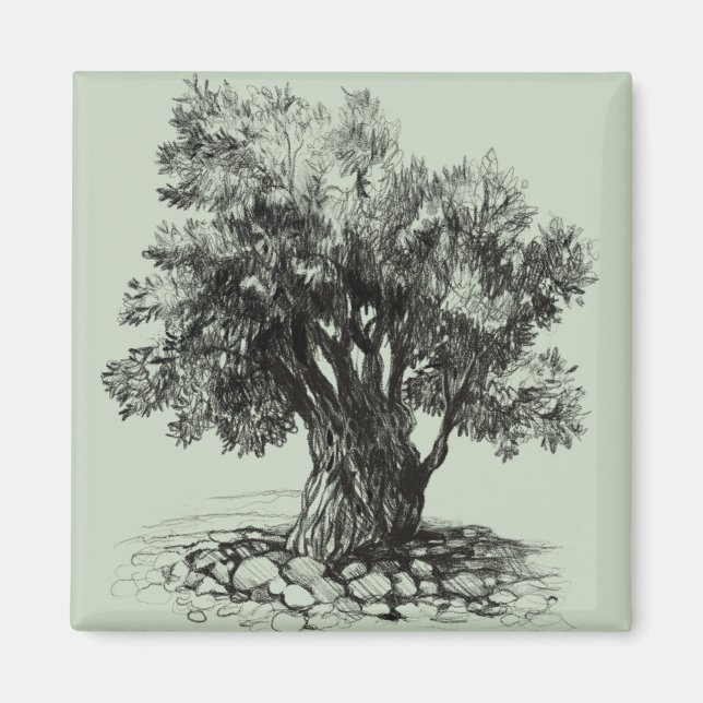 Imán Árbol de oliva (Frente)