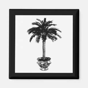 Imán Árbol de palmas potentes - blanco y negro