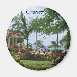 Imán Árbol de palmas tropicales de Cozumel