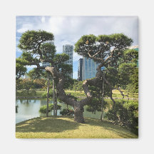 Árbol de pino negro único