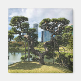 Imán Árbol de pino negro único