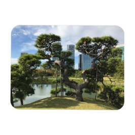 Imán Árbol de pino negro único