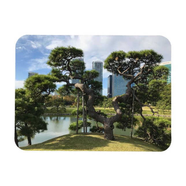 Imán Árbol de pino negro único (Horizontal)