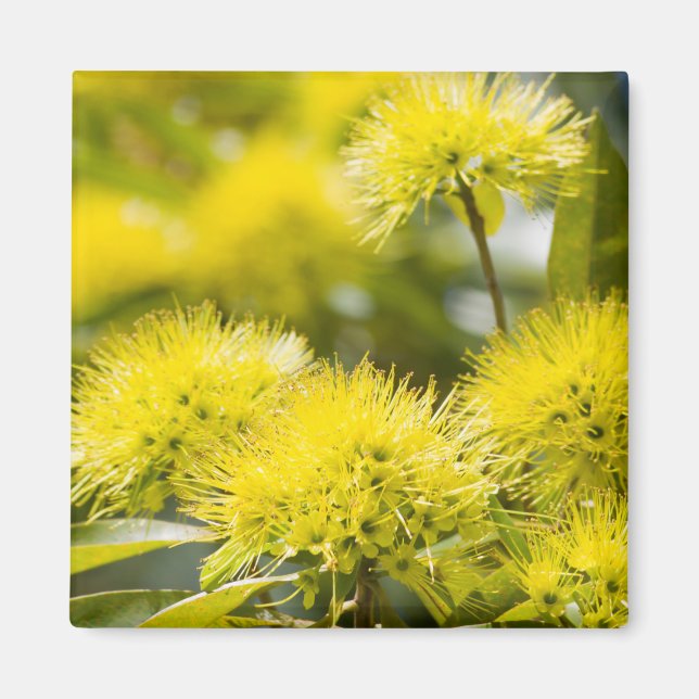 Imán Árbol de vientos amarillo brillante (Frente)