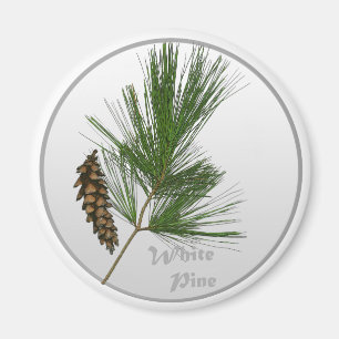 Imán Árbol de White Pine