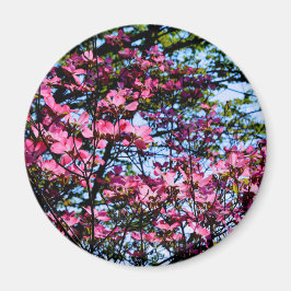 Imán Árbol Dogwood con flores rosadas