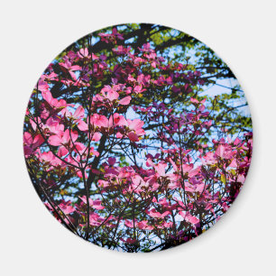 Imán Árbol Dogwood con flores rosadas