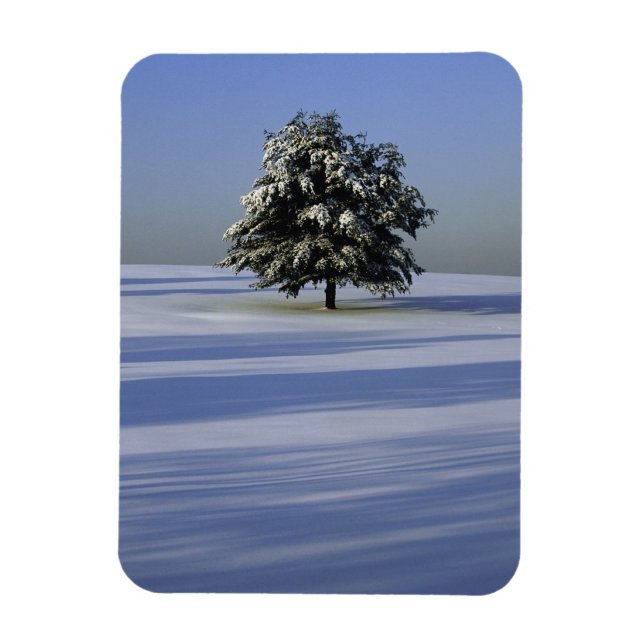 Imán Árbol en el paisaje cubierto de nieve (Vertical)