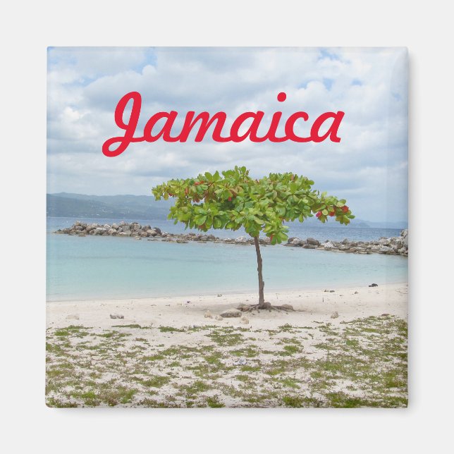 IMÁN ÁRBOL EN LA PLAYA SECLUIDA EN JAMAICA MAGNET (Frente)