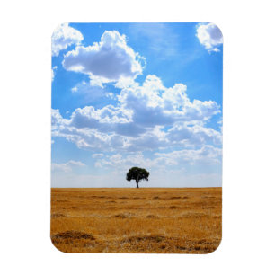 Imán Árbol en un campo de trigo cosechado