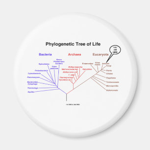 Imán Árbol Filogenético De La Vida - Estás Aquí (Biolog