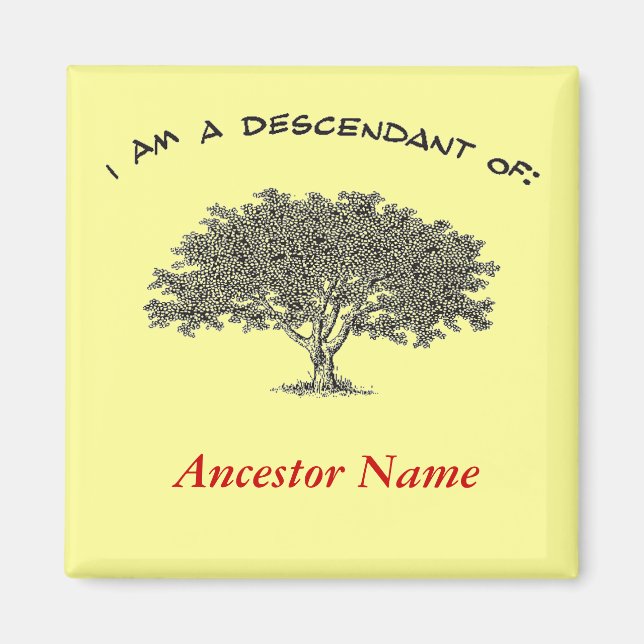 Imán - Árbol genealógico (Frente)