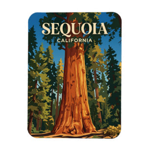 Imán Árbol General Sherman, Parque Nacional Sequoia EE.