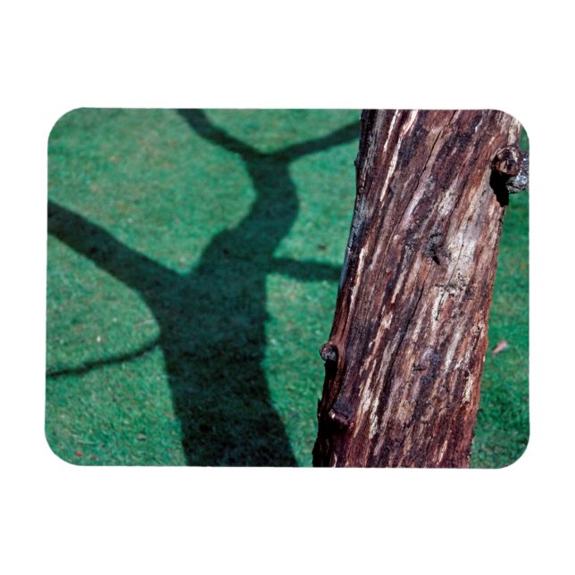 Imán Árbol muerto (Horizontal)