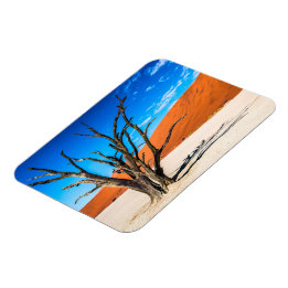 Imán Árbol muerto en Deadvlei, Namibia