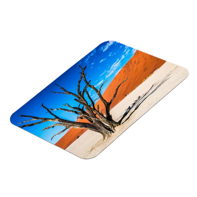 Imán Árbol muerto en Deadvlei, Namibia (Lado Izquierdo)