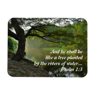 Imán Árbol plantado por el agua, salmo 1:3, Escritura