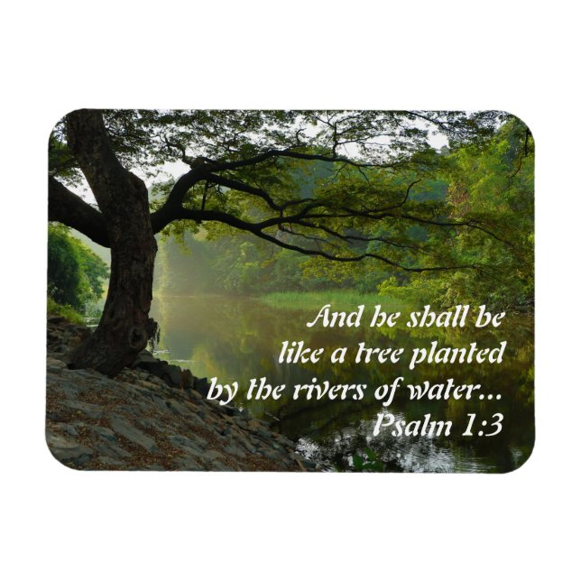 Imán Árbol plantado por el agua, salmo 1:3, Escritura (Horizontal)