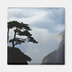 Imán Árbol silueteado al amanecer, Montaña Amarilla,