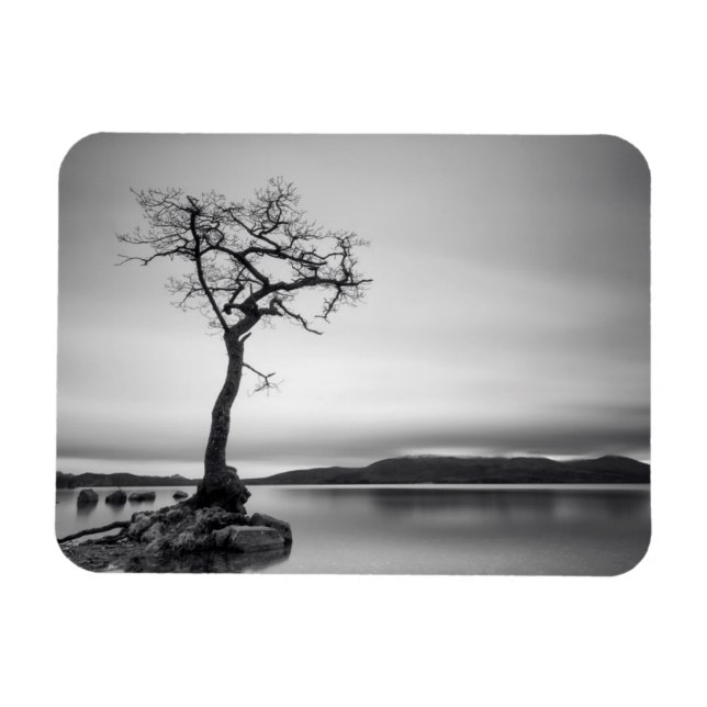 Imán Árbol solitario (Horizontal)
