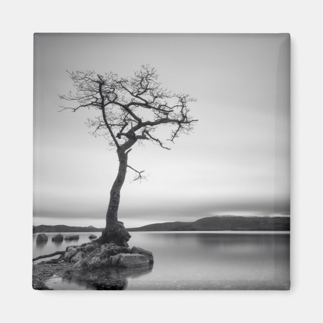 Imán Árbol solitario (Frente)
