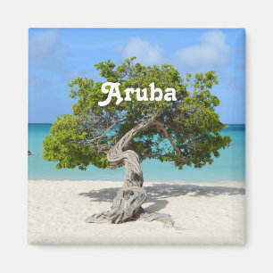 Imán Árbol Solo Divi Divi en Aruba